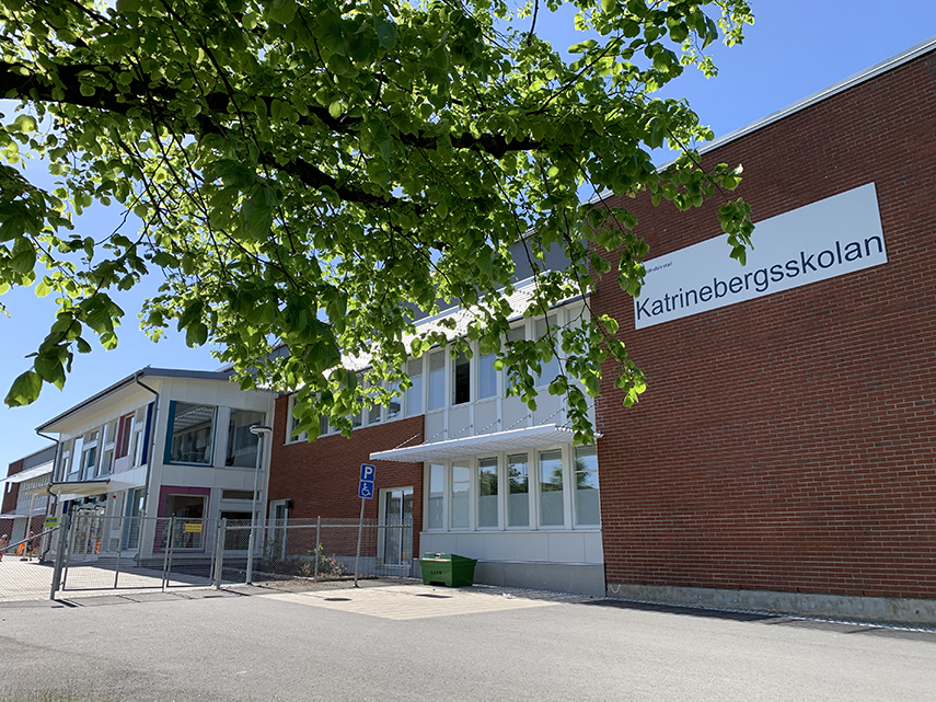 Stor skolbyggnad i rött tegel med grönskande trädgren i förgrunden